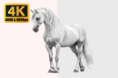 White Horse Transparent PNG Product Image 1