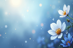 Cosmos Flower Background Wallpaper Product Image 1