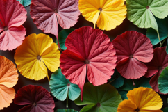 Colorful Leaves Background Product Image 1