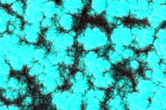 Tumbler Tapered 20 OZ Sublimation Turquoise Wrap Design Product Image 3
