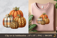 Textured Pumpkin DTF Sublimation Clipart Design 3 Product Image 1