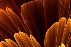 Tumbler Tapered 20 OZ Sublimation Flower Wrap Design Product Image 2