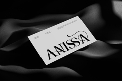 Nelara || Modern Classy Serif Font Product Image 3