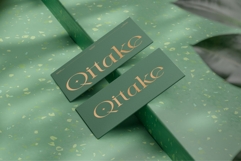 Eiden || Modern Serif Font Product Image 7