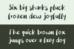 Bright Will Brush Font Product Image 3