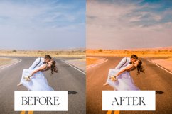 15 Elegant Wedding Lightroom Presets Product Image 3