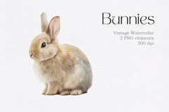 Vintage Watercolor Bunny Animals Clipart Product Image 3