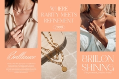 Ronnea || Modern Minimalist Serif Font Product Image 3