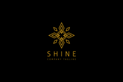 Shine Logo Product Image 2