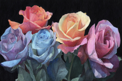 Watercolor Colorful Roses Background Product Image 1