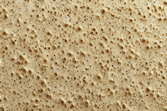 Sponge Texture Background Product Image 1
