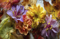 Colorful Flowers Background Product Image 1