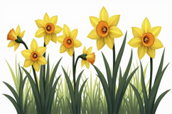 Daffodil Background Product Image 1