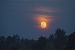 Full Moon Night Background Product Image 1