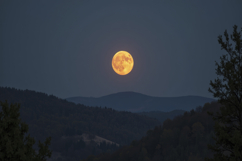 Full Moon Night Background Product Image 1