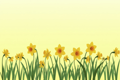 Daffodil background Product Image 1