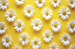 Common Daisy Pattern Background Product Image 1