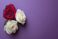 Red and White Flowers Background Wallpaper Product Image 1