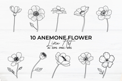 Anemone Flower Line Art Product Image 1