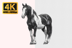 Horse Transparent PNG Product Image 1