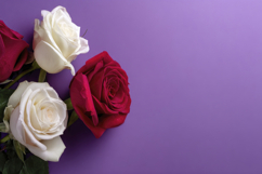 Roses With Purple Background Wallpaper Product Image 1