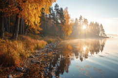 Autumn Forest with Lake Background Wallpaper Product Image 1