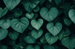 Heart Shape Green Leaves Background Wallpaper Product Image 1