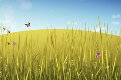 Nature Grass Field Background Wallpaper Product Image 1