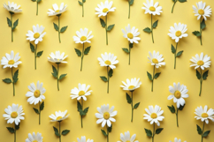 Daisy Flower Pattern Background Product Image 1