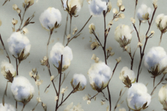 Cotton Flower Pattern Background Product Image 1