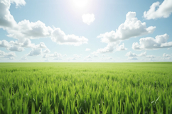 Green Grass With Blue Sky Background Product Image 1
