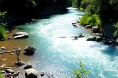 Lash Greenery With River Background Product Image 1