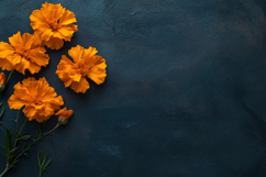 Marigold with Dark Background Wallpaper Product Image 1