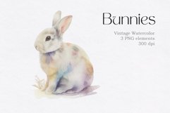 Vintage Watercolor Bunny Animals Clipart Product Image 4