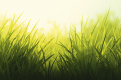 Green Grass Background Product Image 1