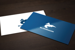 Blue Dragon Logo Product Image 3