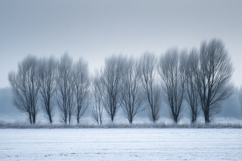 Snowy Winter Landscape Background Product Image 1