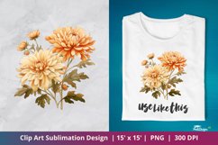 Beautiful Chrysanthemum Flower Clip Art Sublimation 4 Product Image 1