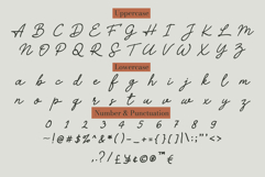 Alacati | Elegant Handwritten Script Product Image 4