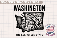 USA STATE America Vintage SVG Monochrome Design Patriotic Product Image 1