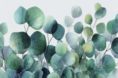 Eucalyptus Leaves background Product Image 1