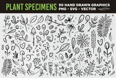 Plant &amp; Flower Specimen Doodle Clip Art Set Product Image 1