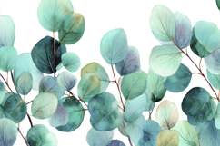 Eucalyptus Leaves Background Product Image 1