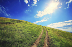 Dirt Road with Greenery Background Wallpaper Product Image 1