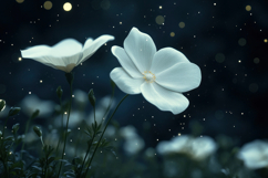 Snowdrop Anemone Background Wallpaper Product Image 1