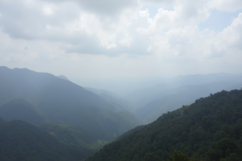 Smoky Mountain background Product Image 1