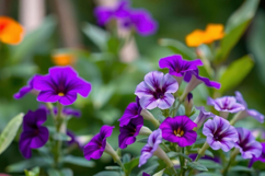 Purple Flower Background Product Image 1