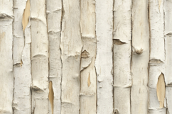 Birch Log Texture Background Wallpaper Product Image 1