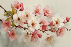 Cherry Blossoms Background Product Image 1