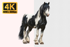 Horse Transparent PNG Product Image 1